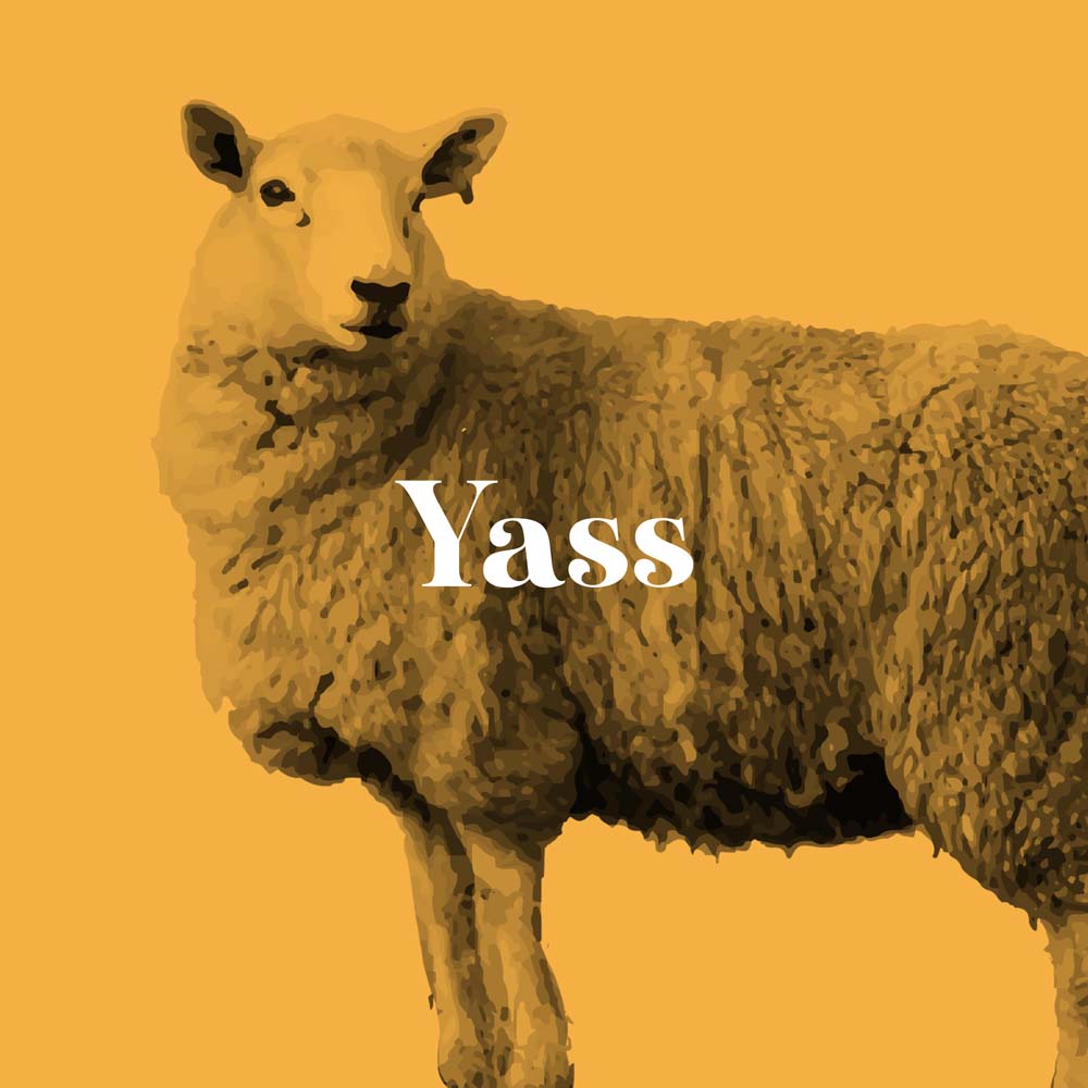 YASS-GUIDE-THUMBNAIL