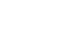DayTripper NSW